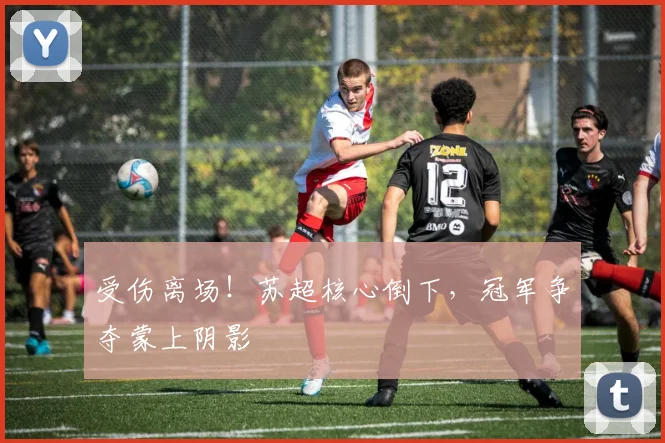 受伤离场!苏超核心倒下,冠军争夺蒙上阴影