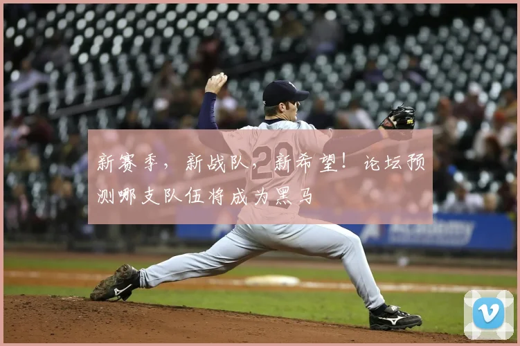 新赛季，新战队，新希望！论坛预测哪支队伍将成为黑马